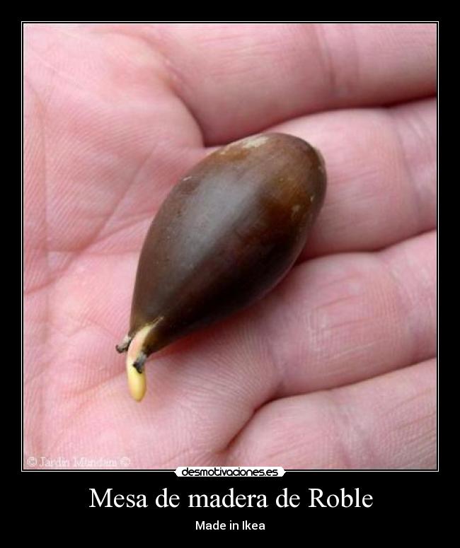 Mesa de madera de Roble -