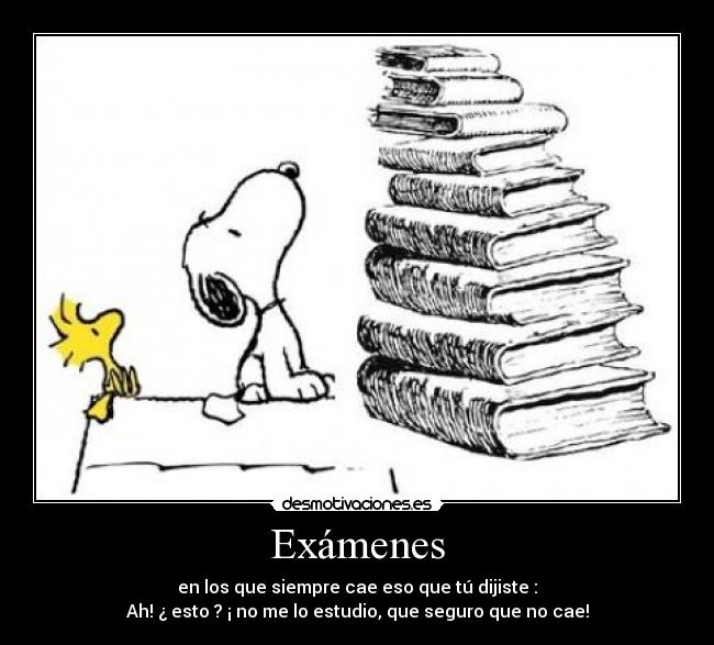 Exámenes - 