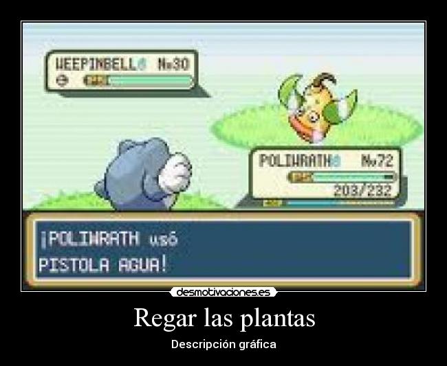 Regar las plantas - 