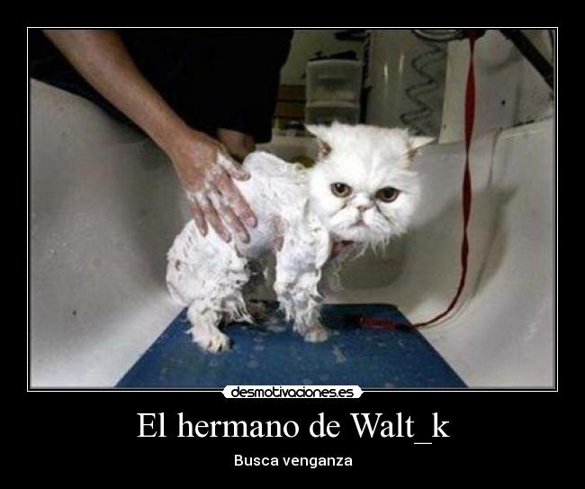El hermano de Walt_k -