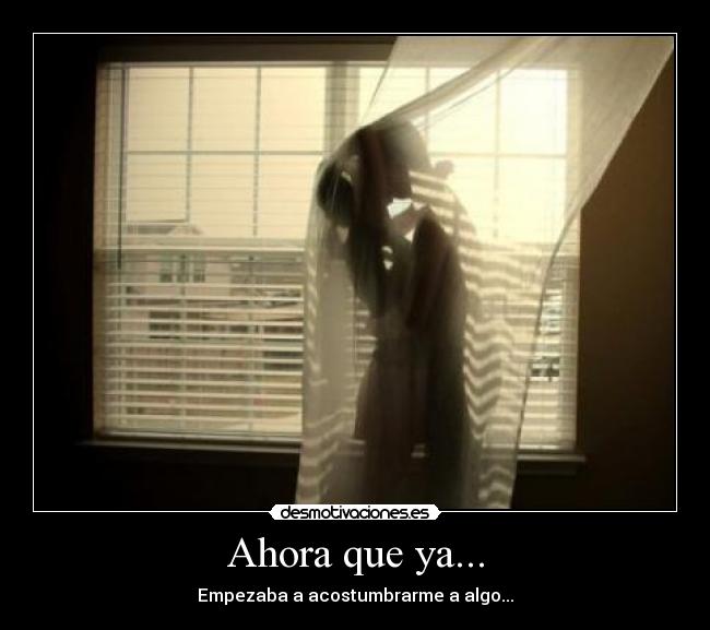 Ahora que ya... - Empezaba a acostumbrarme a algo...
