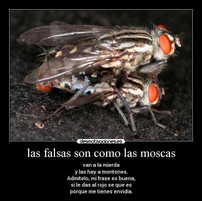 las falsas son como las moscas - van a la mierda
y las hay a montones.
Admítelo, mi frase es buena,
si le das al rojo se que es
porque me tienes envidia.