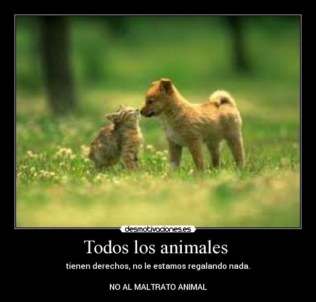 carteles animales yolanda22 desmotivaciones