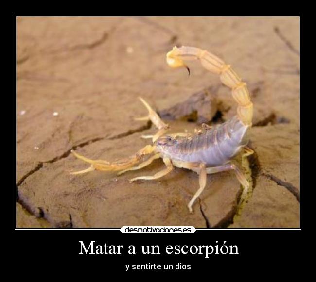 Matar a un escorpión - y sentirte un dios