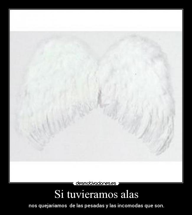 Si tuvieramos alas - 