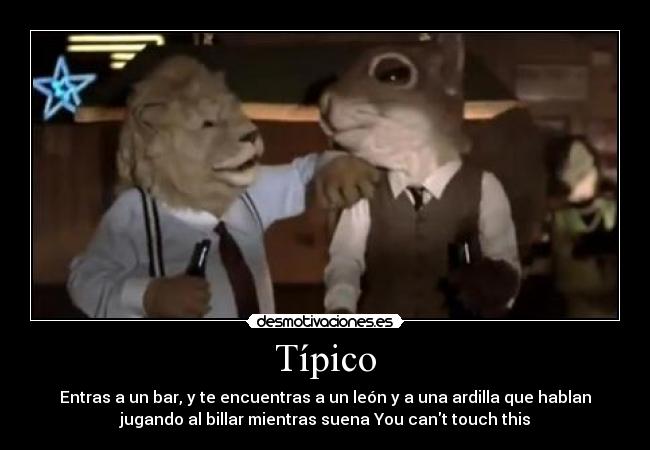 Típico - Entras a un bar, y te encuentras a un león y a una ardilla que hablan
jugando al billar mientras suena You cant touch this