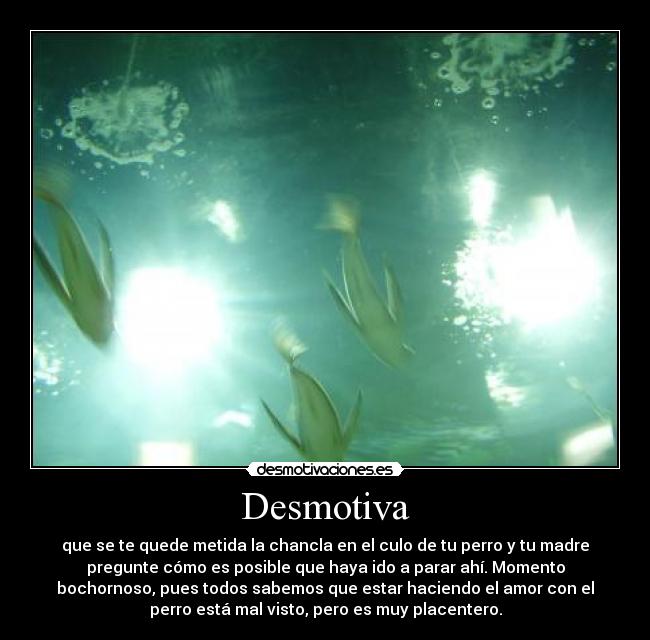 Desmotiva - que se te quede metida la chancla en el culo de tu perro y tu madre
pregunte cómo es posible que haya ido a parar ahí. Momento
bochornoso, pues todos sabemos que estar haciendo el amor con el
perro está mal visto, pero es muy placentero.