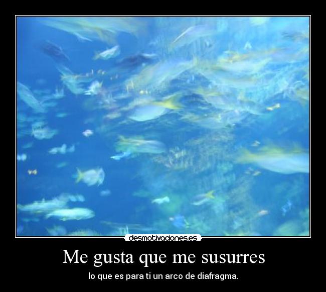 Me gusta que me susurres - lo que es para ti un arco de diafragma.