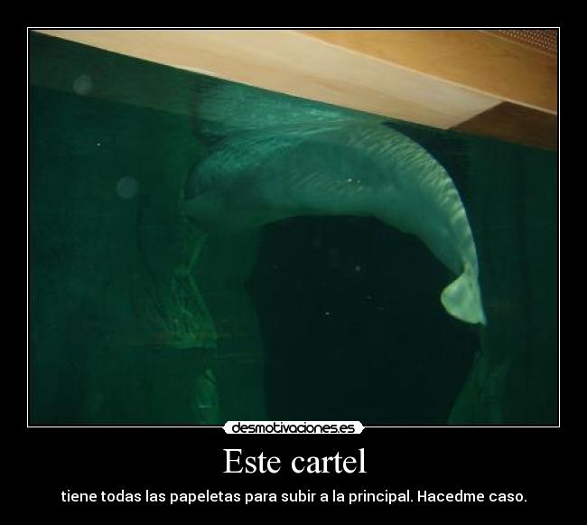 Este cartel - tiene todas las papeletas para subir a la principal. Hacedme caso.