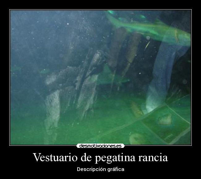 Vestuario de pegatina rancia - Descripción gráfica