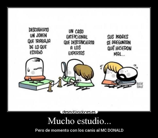 Mucho estudio... -