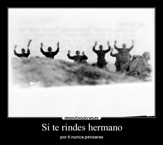 Si te rindes hermano - por tí nunca pensaras