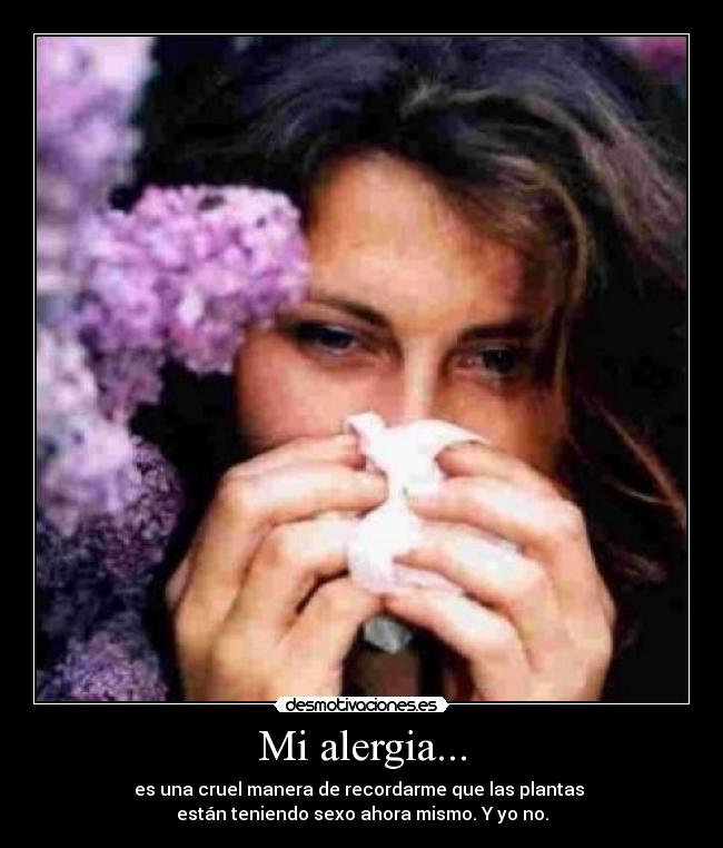 Mi alergia... - 