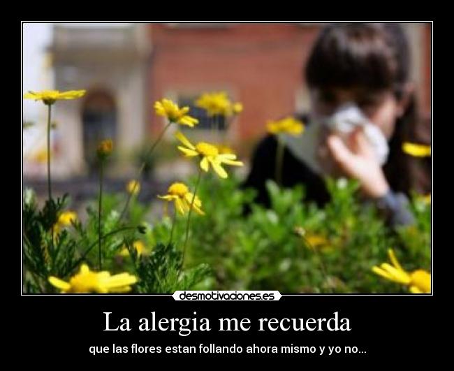 La alergia me recuerda - que las flores estan follando ahora mismo y yo no...