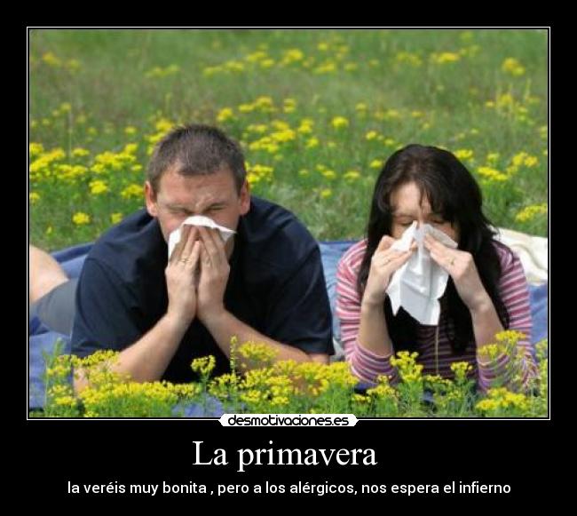 La primavera - la veréis muy bonita , pero a los alérgicos, nos espera el infierno