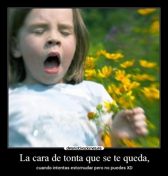 La cara de tonta que se te queda, - cuando intentas estornudar pero no puedes XD