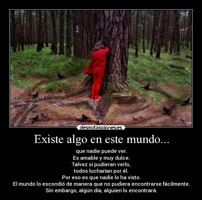 carteles mundo toradora amor escondido amable dulce desmotivaciones