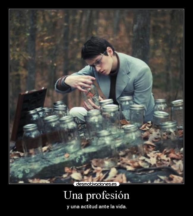 Una profesión - y una actitud ante la vida.