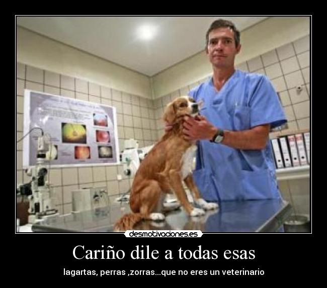 Cariño dile a todas esas - lagartas, perras ,zorras...que no eres un veterinario