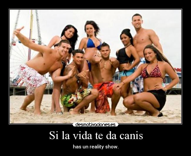 carteles vida canis reality show lol yayotron desmotivaciones