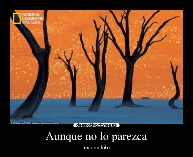 Aunque no lo parezca -