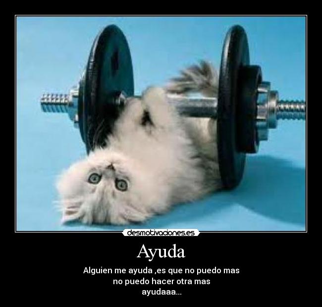 Ayuda -