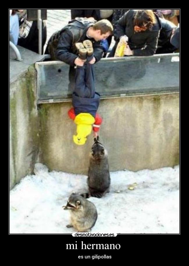 mi hermano  - 