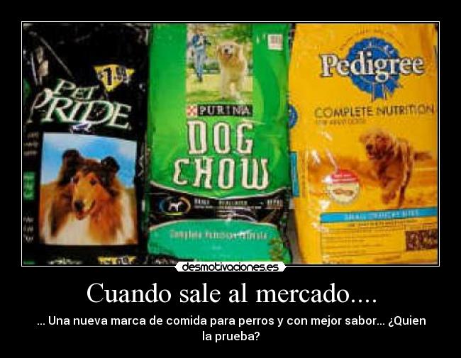 Cuando sale al mercado.... - ... Una nueva marca de comida para perros y con mejor sabor... ¿Quien la prueba?