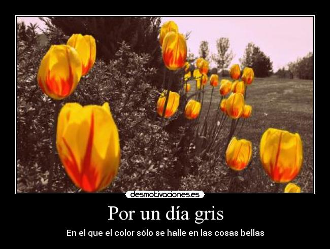 Por un día gris - En el que el color sólo se halle en las cosas bellas