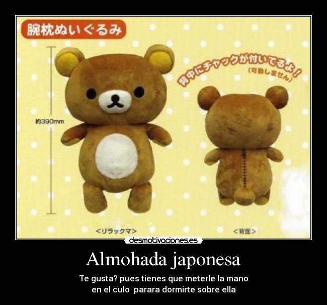 carteles almohada japonesa desmotivaciones