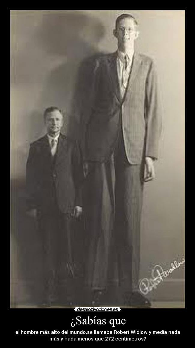¿Sabías que - el hombre más alto del mundo,se llamaba Robert Widlow y media nada
más y nada menos que 272 centímetros?