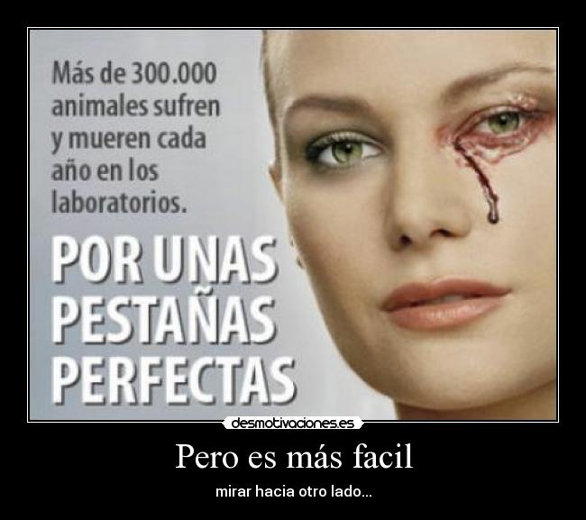 carteles animales desmotivaciones