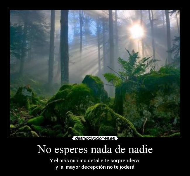 carteles chuck norris principal walt_k desmotivaciones esperes nada nadie detalles minimo jodera decepcion desmotivaciones