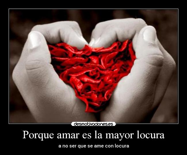 Porque amar es la mayor locura -