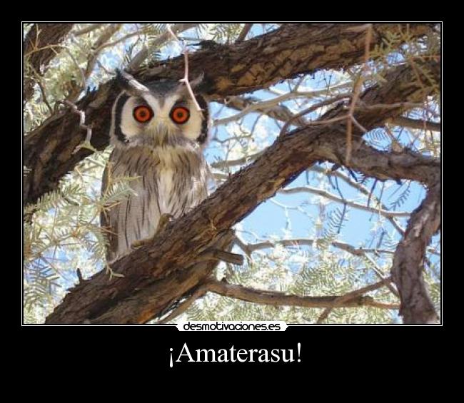 ¡Amaterasu! - 