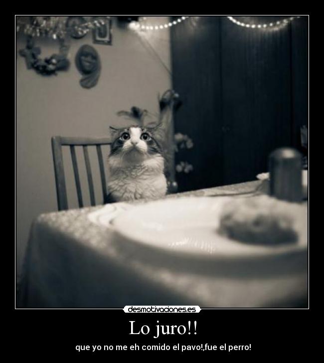 Lo juro!! - 