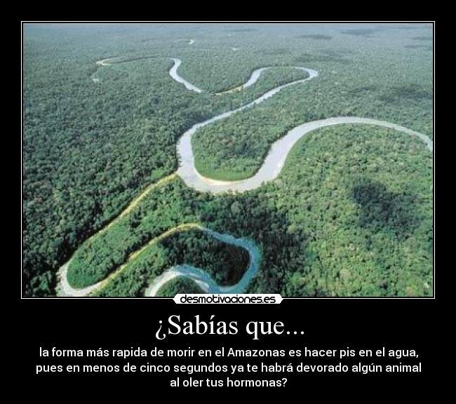 ¿Sabías que... - 