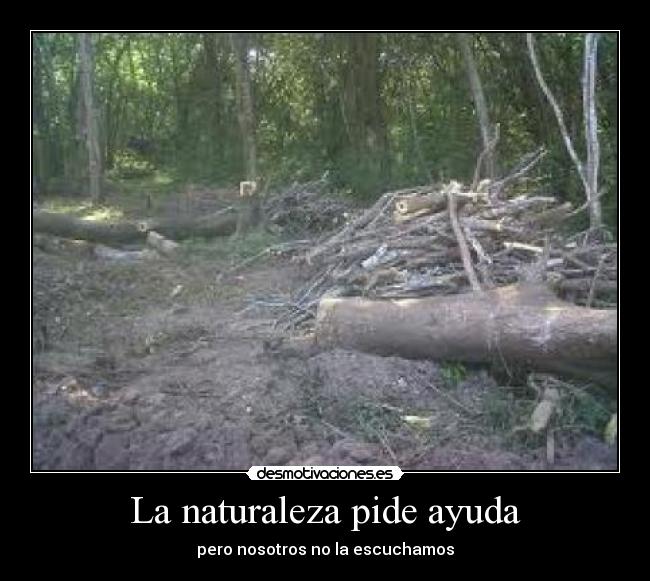 La naturaleza pide ayuda - pero nosotros no la escuchamos