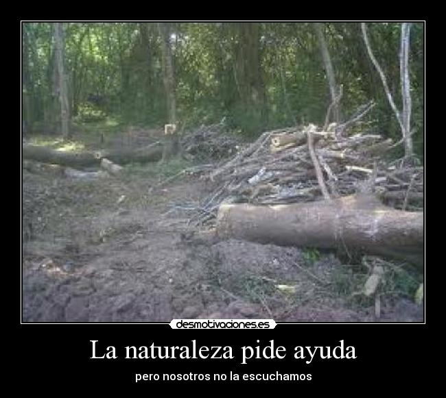 carteles naturaleza ayuda desmotivaciones