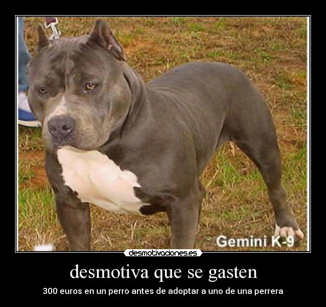 desmotiva que se gasten - 