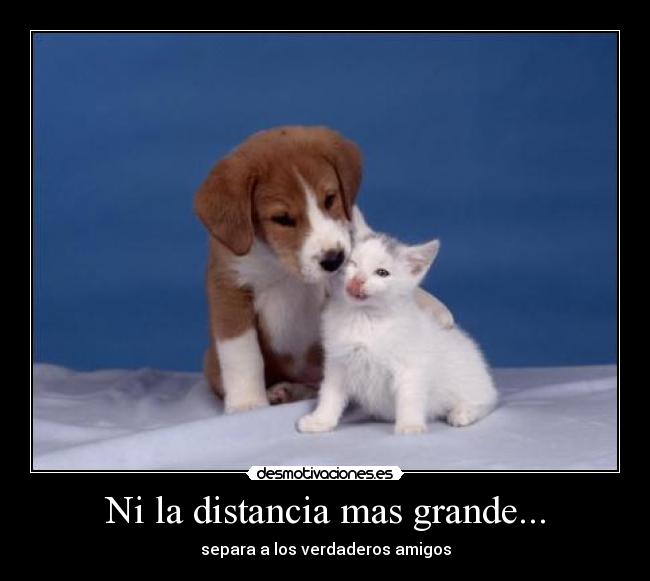 Ni la distancia mas grande... - 