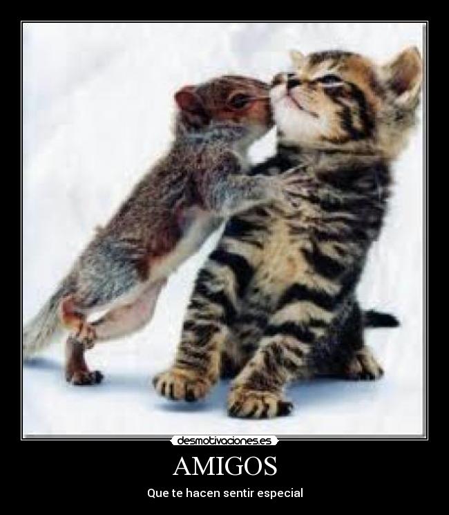 AMIGOS - 