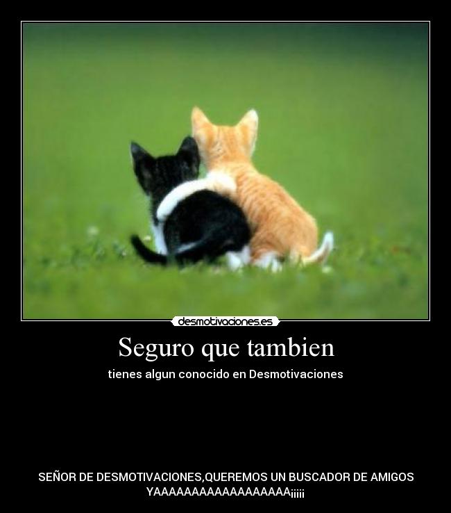 carteles buscador amigos desmotivaciones