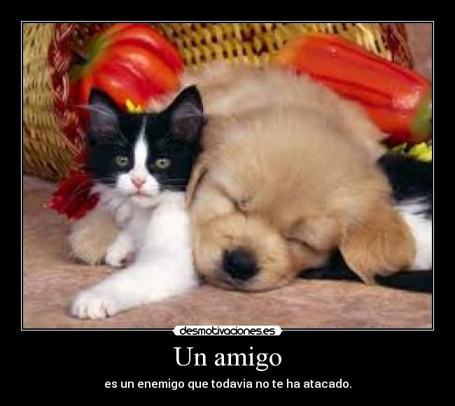 Un amigo -