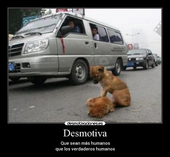 Desmotiva -