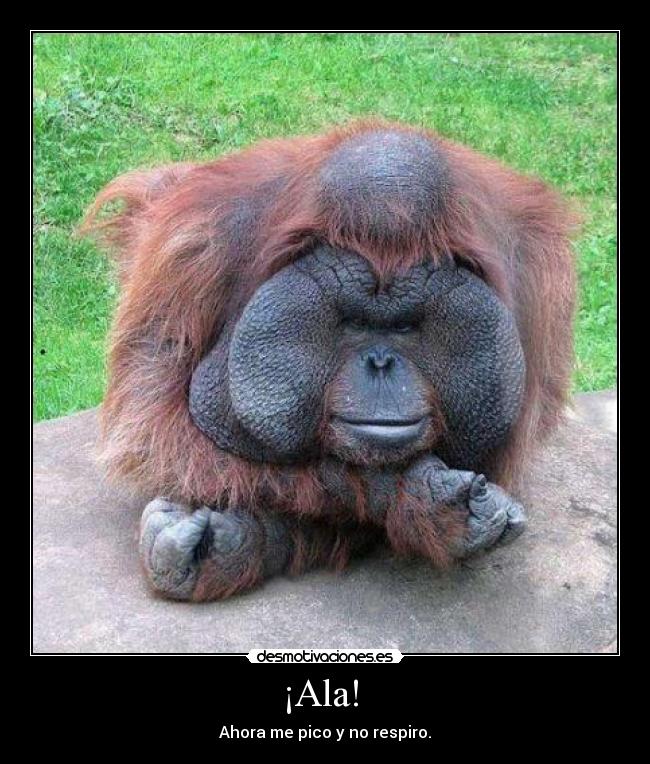 ¡Ala! - Ahora me pico y no respiro.