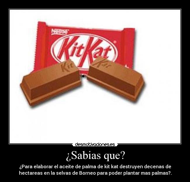 ¿Sabias que? - ¿Para elaborar el aceite de palma de kit kat destruyen decenas de
hectareas en la selvas de Borneo para poder plantar mas palmas?.