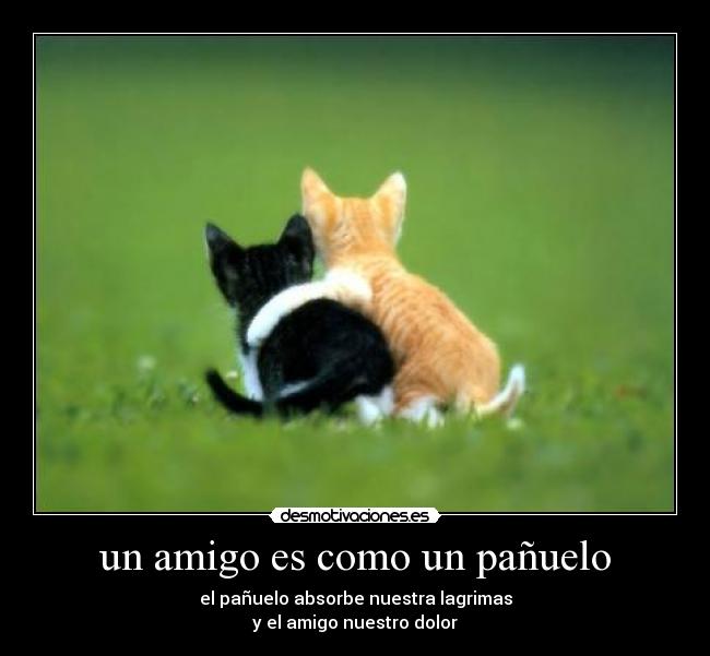 un amigo es como un pañuelo -