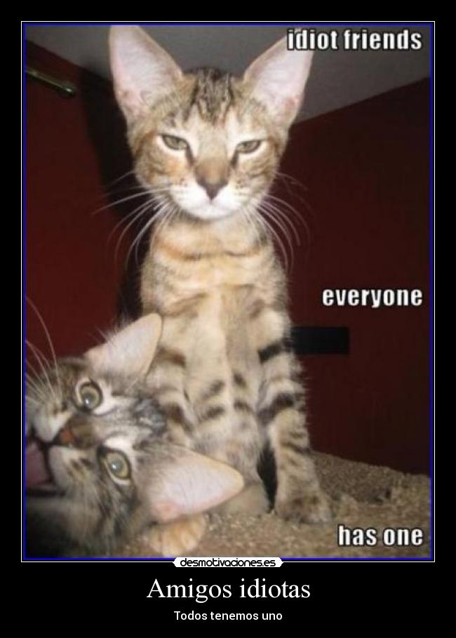 Amigos idiotas -