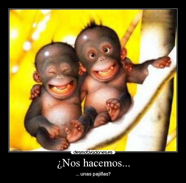 ¿Nos hacemos... - 